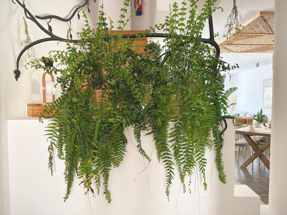 Saone Guesthouse & Coworking Ericeira Bagian luar foto